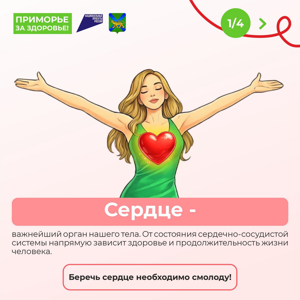 1(1302260 (1).jpg